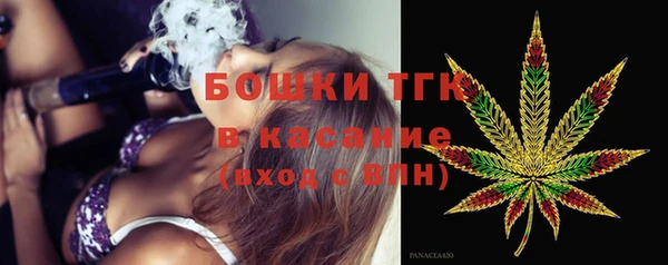 стафф Арсеньев