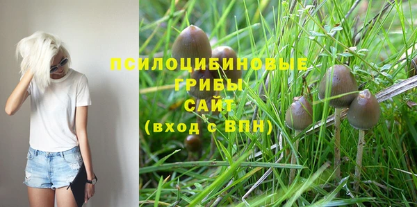 эйфоретик Армянск