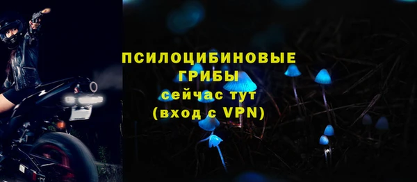 гидра Аркадак