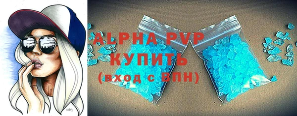 стафф Арсеньев