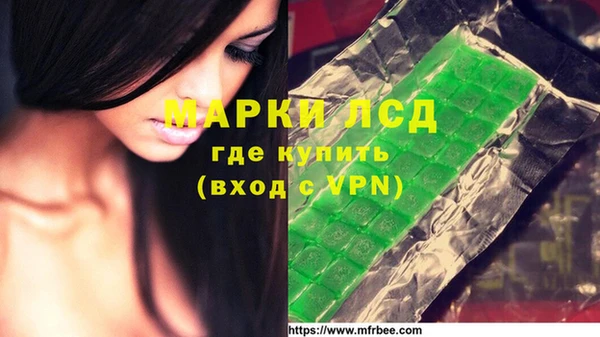 стафф Арсеньев