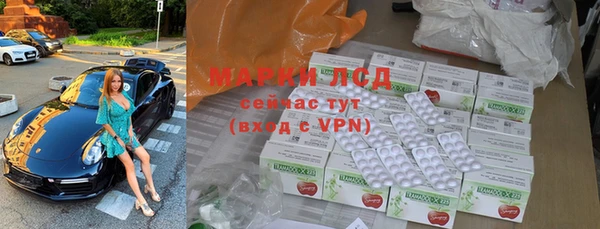 стафф Арсеньев