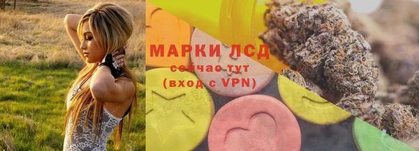 стафф Арсеньев