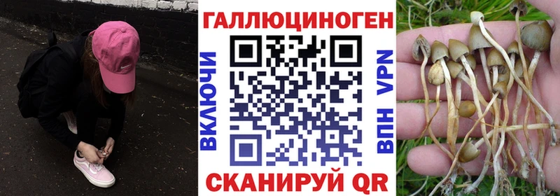 Галлюциногенные грибы мицелий  блэк спрут   Гдов 